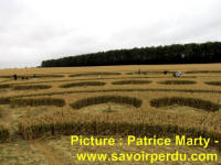 Avebury Stone Circle, Wiltshire crop circle, aerial photo 56